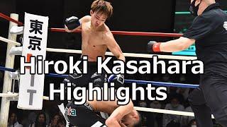 Hiroki Kasahara 笠原弘希 Kickboxing and Shoot Boxing Highlights