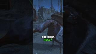 Are Birds Real? | #Fallout4 Lore