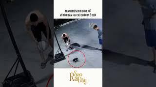 THANH NIÊN CHƠI BÓNG RỔ VÔ TÌNH LÀM HẠI CHÚ CHÓ CON Ở DƯỚI