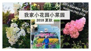 我家的小花园菜园(2018夏秋) | Small Garden Tour Summer and Fall 2018 | Real Simple Jill