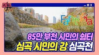 [부천]청계천 안부럽다! l 심곡 시민의 강, 심곡천 l 경미크 전상열