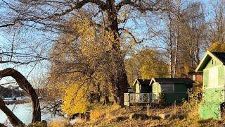 Stockholm Walks: Årstaviken. Autumn colors and sunshine along the Södermalm shore.