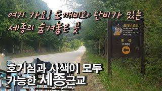 세종당일치기여행/ 도깨비도로&단비책방/ 잘나가는언니들과 같이 나가자