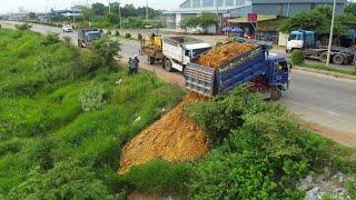 Processing Landfill Project! Dozer D31P KOMATSU, 5Ton Dump Truck Unloading, Full Video