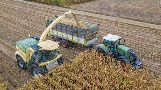 Loonbedrijf Partoens | Mais hakselen 2020 | Krone BigX 780 | Fendt | John deere