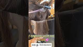 보브컷과 단발머리 차이  요고에요 요로케#사모님머리#파마#컷트#사모님파마 #드라이#보브컷#보브단발 #스타일링#뷰티#여자머리#여자머리추천#헤어스타일#헤어#haircut#shorts