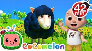 Baa Baa Black Sheep - CoComelon | Kids Cartoons & Nursery Rhymes | Moonbug Kids
