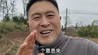 养蜂骗局又来了，广大养蜂朋友们，擦亮你的双眼，千万不要上当？