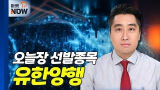 유한양행... 글로벌 빅파마로부터 로열티 수령 국내 최초 | Market Now (20241202)