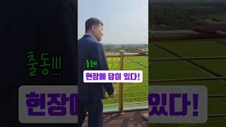 현장에 답이 있다 #김제지평선축제 #shorts