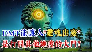 【超常現象】DMT—一种能让人类意识穿越维度的神经递质,这或许就是所有宗教的源頭？ #DMT实验 #美国政府秘密研究 #外星生命接触 #松果体激活 #意识穿越 #瑞克斯特拉斯曼 #内源性DMT