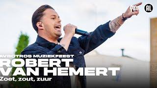 Robert van Hemert - Zoet, zout, zuur (LIVE) • Muziekfeest op het Plein 2024 // Sterren NL