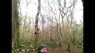 A widgy blooper