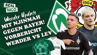 Mit Njinmah gegen Leverkusen! / Vorbericht Werder - Bayer / Aufstellung UVM