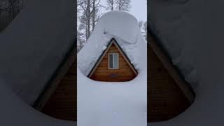 Anyone wanna help dig it out? #snowedin #winterfun #cabin #2023 #snow #deepsnow