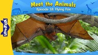Meet the Animals 18 | Flying Fox | Wild Animals | Little Fox | Animated Stories for Kids