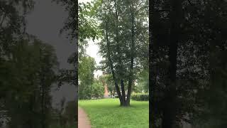 17 июня 2025 Питер Утро Погода Хорошее  #лето #прогулка #Landscape #positivevibes #nature #природа