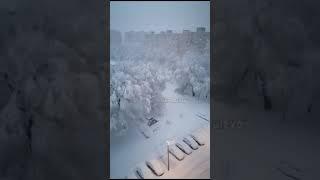 Зимняя сказка в Ликино-Дулёво 