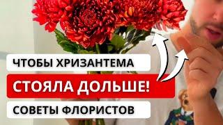  КАК ПРАВИЛЬНО УХАЖИВАТЬ ЗА ХРИЗАНТЕМОЙ, чтобы она простояла дольше в домашних условиях?