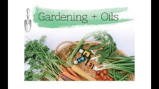 Using Essential Oils in your Garden for more success