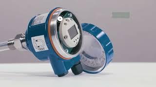 Capacitive Level Switch | RFnivo® | Point level measurement | LIQUIDS & INTERFACE