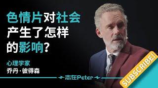 色情片对社会产生了怎样的影响？——Dr.Jordan B Peterson 乔丹·彼得森