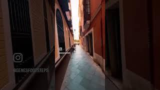 Strolling Through Seville: A Colorful Walking Tour! ‍️