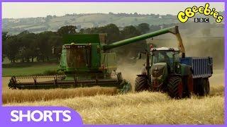 CBeebies: Harvest Time With Down On The Farm
