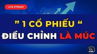  LIVE STREAM (SỐ ĐẶC BIỆT CHO NĂM 2025): 1 CỔ PHIẾU ĐIỀU CHỈNH LÀ PHẢI MÚC NGAY TRONG THÁNG 3 NÀY!!