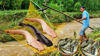 How to catch giant fish in the stream with a big net during the rainy season with daughter