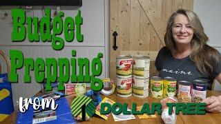 $25 Budget Prepper Supply Haul from Dollar Tree