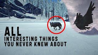 All interesting things you never knew about The Long Dark