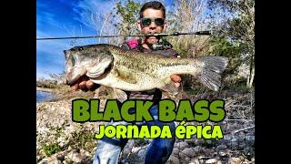 BLACK BASS JORNADA EPICA