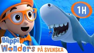 Varelser i havet | @BlippiSvenska | Pedagogiska videor för barn