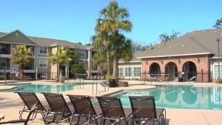 West Gainesville Florida | Swamp Rentals | Apartment Guide