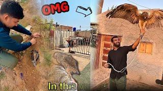 Mini Zoo New Video:Eagle Chala Gya