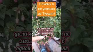 Почему я не уезжаю из Турции? #лараизмахмутлара #turkey#жизньвтурции #переездвтурции#