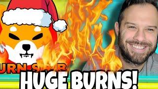 Shiba Inu Coin | 250 Million SHIB Burn! Christmas Gains Ahead!