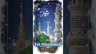 Eid Miladunnabi Status #eidmiladunnabinaat #eidmiladunnabi #status #eidmiladunnabimubarak