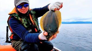 How to catch flounder in the sea from a boat.