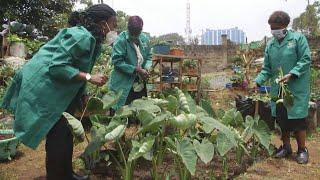 How to make a moist bed garden - Farm Kenya