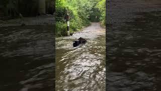 RC DUMPER DEEP RIVER CROSSING! WILL IT MAKE IT?#rc  #toys #huina #water #deep  #storm ️