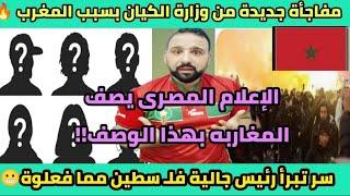 أجرأ خروج لإعلام مصر بعد علقة المغاربهلمتطاولين الكيان بهولندوتعليق قذر للمغاربه والرد عليه