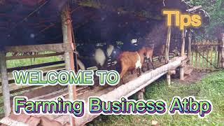 Farming Business Atbp