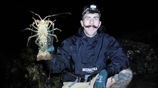 Catching Crayfish from Land | Local Island Boat Camping