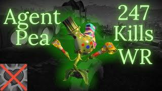 Agent Pea 247 Kills No Pocket PC World Record PvZ GW2