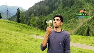 The Colors of Nature in SlowMo in Kashmir