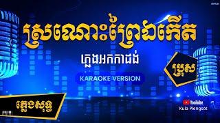 ស្រណោះព្រៃឯកើត ភ្លេងសុទ្ធ​ (បទប្រុស) | Sranaoh Prei Ekert - [By Kula] #KaraokeVersion