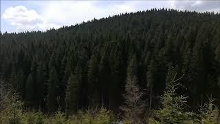 Mountain bike 27 04 19. Azuga ski and bike resort la Romania