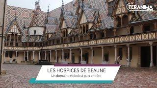 Hospices de Beaune : l'histoire d'un domaine unique - Teranima TV